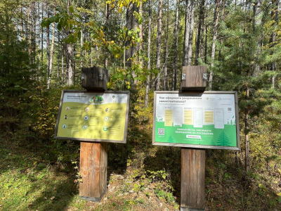 Прибайкальский нацпарк на плечах волонтеров: кто делает всю работу, а кто зарабатывает на входе