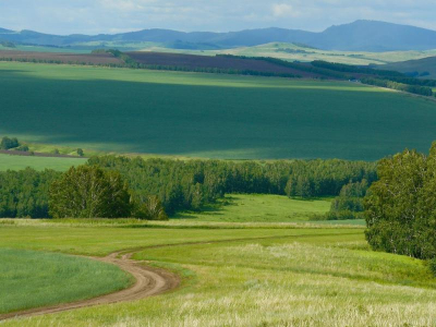 Томские ученые будут следить за урожайностью полей из космоса